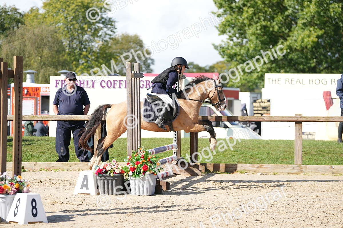 SBM_38371 - J6 - Junior Pony 55cm Championship