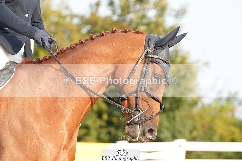 250817-083106-07264 - 142-Emma-Jane.BrownLord.in.Red