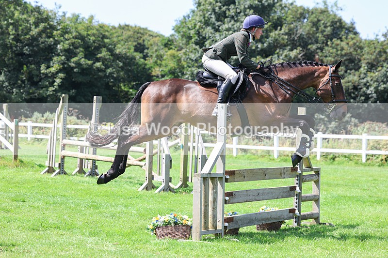 3E7A8917 - Class 6: Open Working Horse