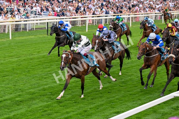 250725-Race 6-Luna A Inbhir Nis-0837 - Race 6 8.23pm Sky Bet Go-Racing-In-Yorkshire Summer Festival Handicap