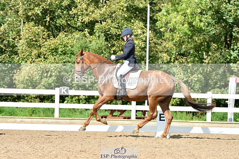 230912A-145101-01417 - Cls 11 Medium 73