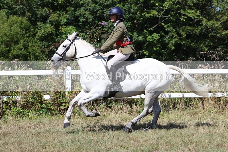 3E7A6408 - Working Hunter Championship