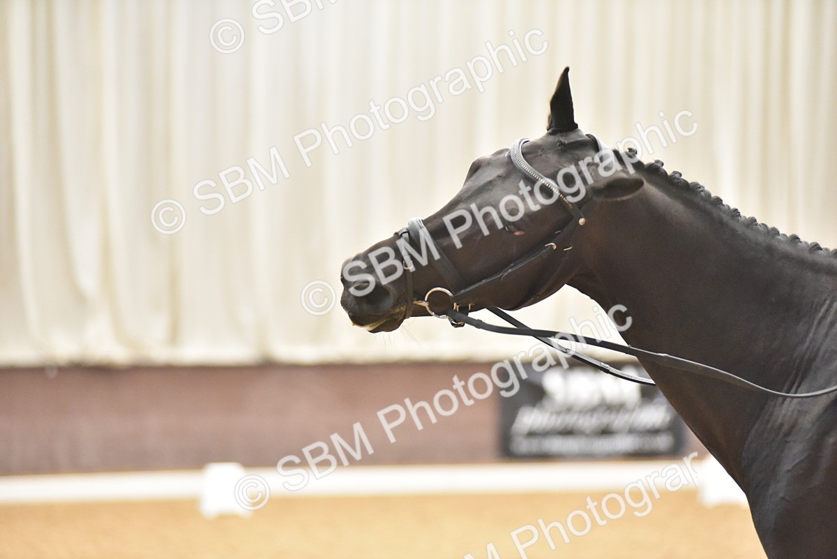 SBM_010757 - Class 5 - Prelim 5