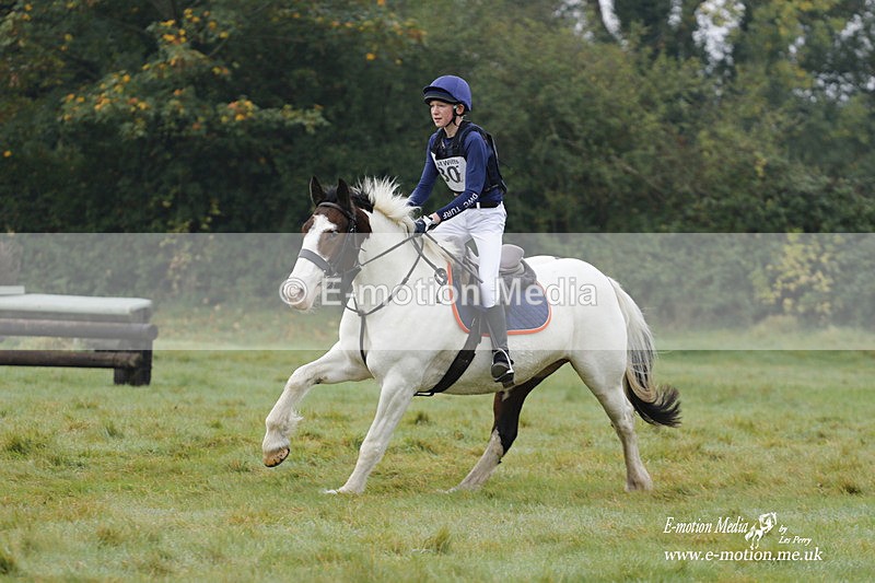 WWHT 171021 0621 - Novice Restricted (0.80m)  17/10/21