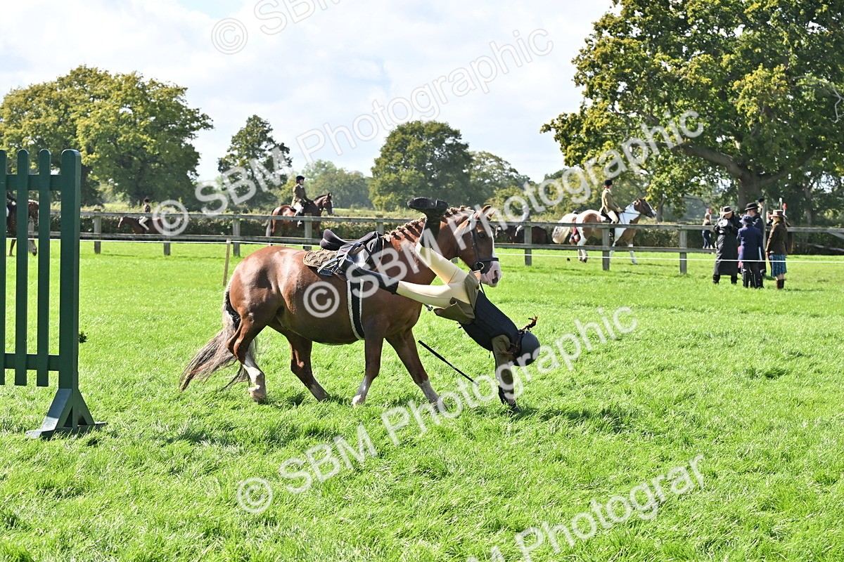 SBM_44539 - S13 - Pony Club Pony