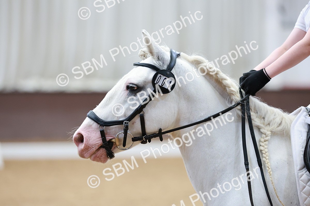 SBM_013254 - Class 1-2-3-4 - MQ Open U21 Intro 1-2