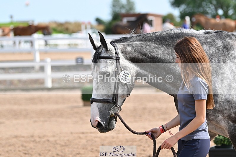 240717A-160926-03330 - Trot Up 4pm to 5pm