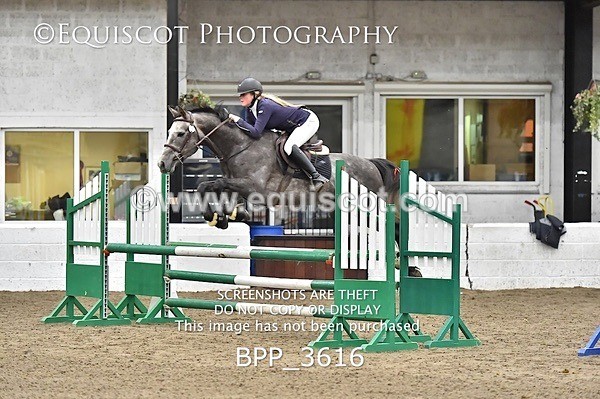 BPP_3616 - FRI CLASS 21 BR NOVICE/90CM