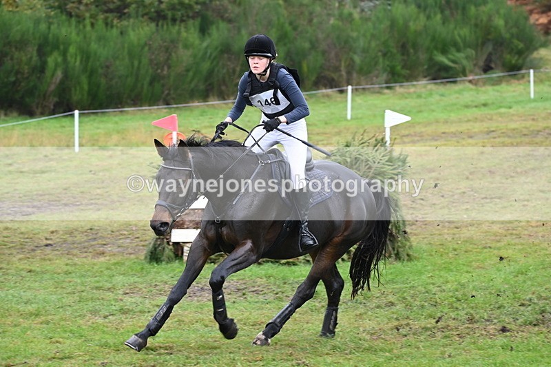 WJ6_2517 - 80cm Cam 1 Time 11:23 to 12:04