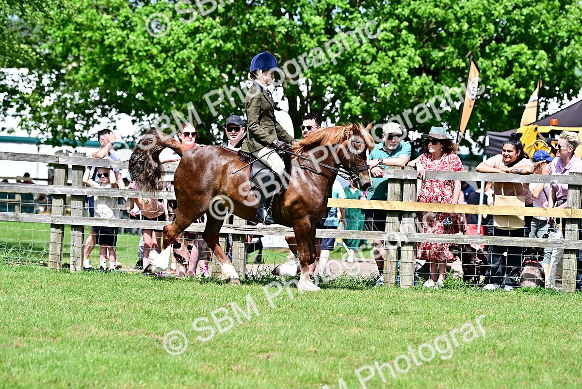 SBM_07890 - Class 61-62 - TSR  M&M Ridden Amateur of the Year