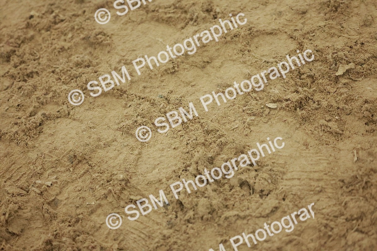 SBM_004987 - Class 6 - Chase Me Charlie