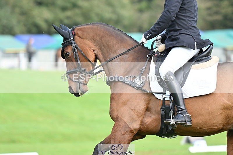 231020-101551-07580 - 683-ALVESCOT.FIVE.STAR-Mark.Ford-DR