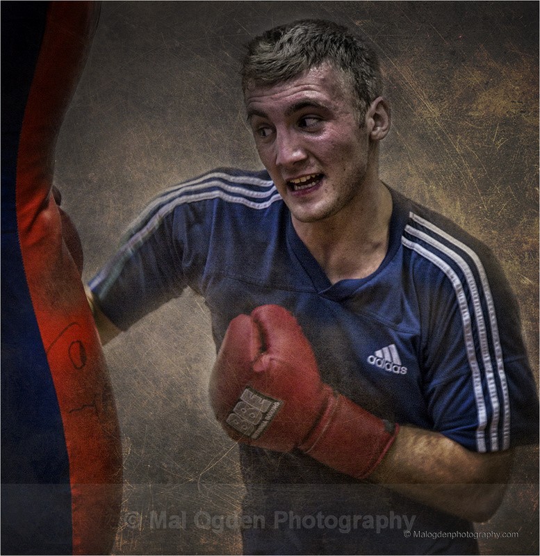 Boxer by his name - Digitally Manipulated