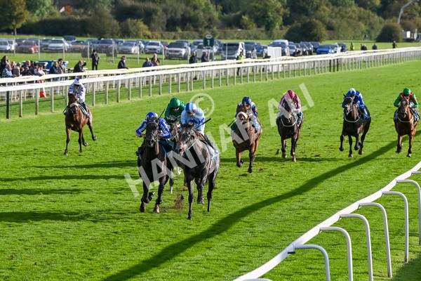 111024-Race 6-Fondo Blanco-2102 - Race 6 4.20pm William Hill EBF Novice Stakes