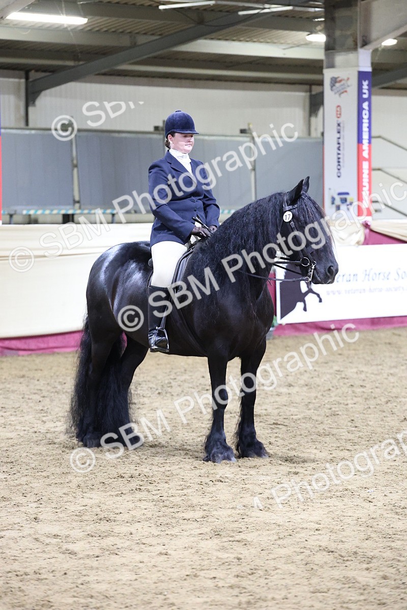 SBM_20933 - Class M - Equitation Champ