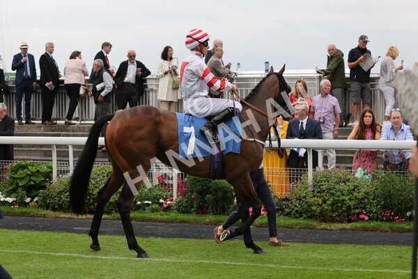 yr19082021r3-20 - Race 3 3.00pm Clipper Logistics Stakes