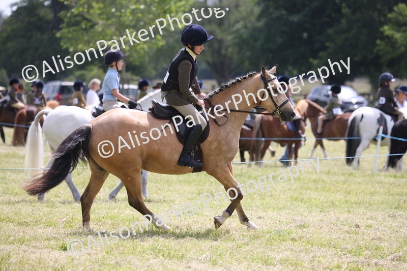 20260614-1797 - Class 21 - Novice Working Hunter Pony