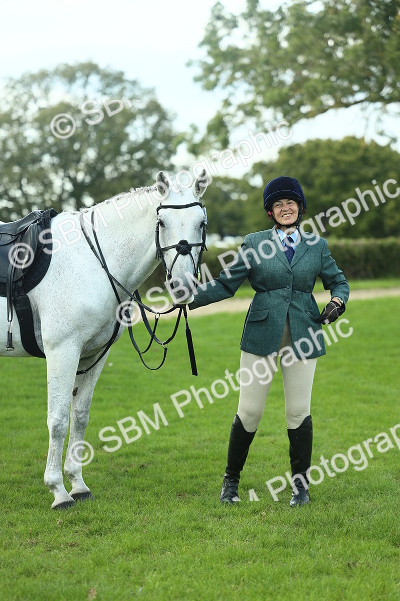 SBM_50726 - S33 - Working Hunter & Working Show Horse