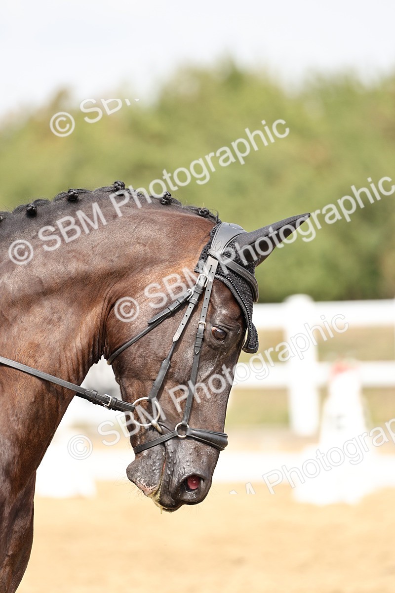 SBM_012489 - Class 2 - Prelim 5