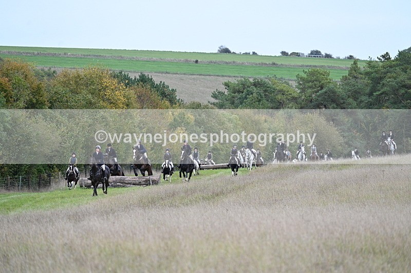 WJ7_3737 - Camera 1 Line 1