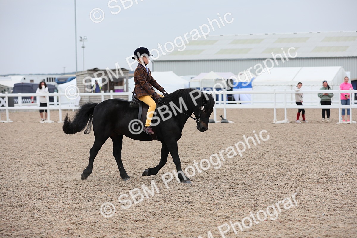 SBM_18139 - Class 316 Best Pony/Rider Combination