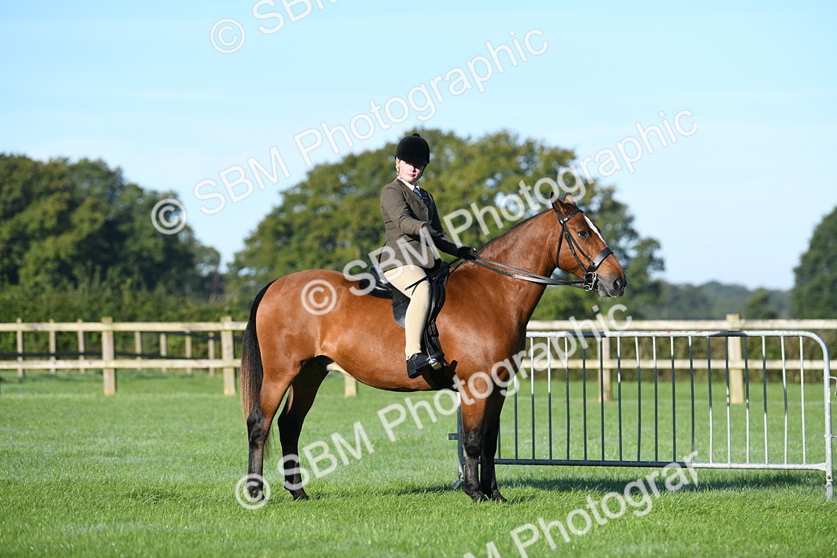SBM_33964 - S16 - Condition & Turnout - Ridden