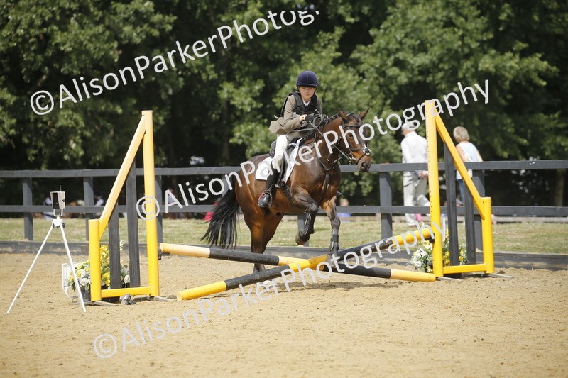 20250622-4029 - 50cm