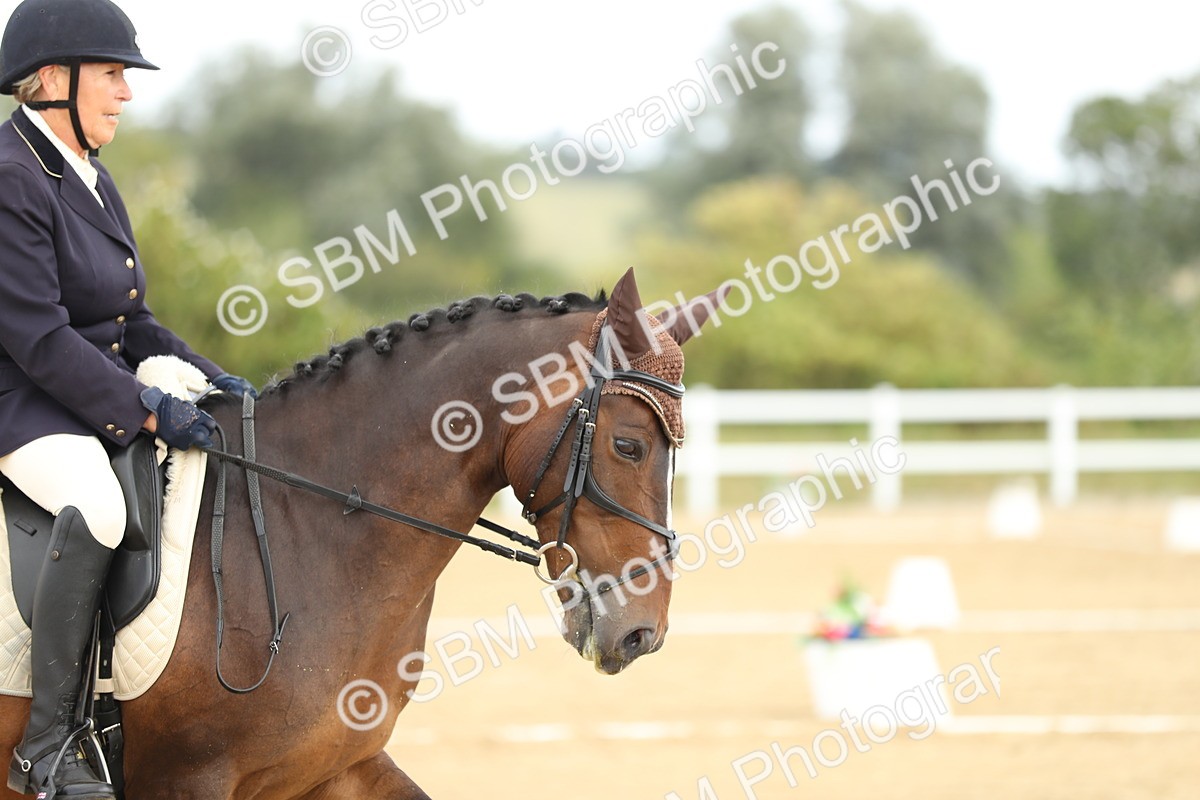 SBM_016429 - Class 13 - Novice 23 - 11.25-12.35