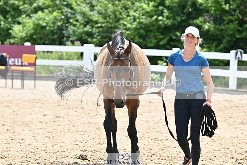 240717A-144813-02304 - Trot Up 2pm to 3pm - This folder is not in time order