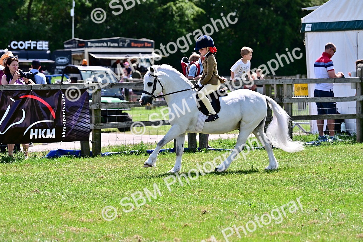 SBM_06081 - Class 59-60 - TSR M&M  Lear Rein and First Ridden Amateur of the year