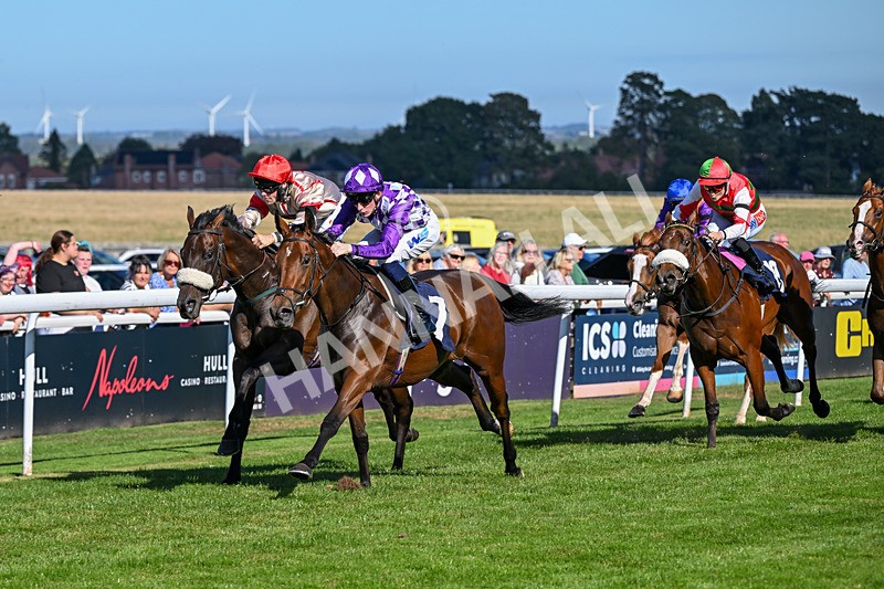 220926-Race 3-Call Me Tomorrow-3616 - Race 3 2.40pm Christmas Parties R Us Restricted Novice Stakes