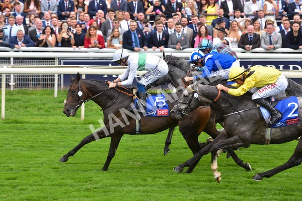 yr21082021r2-26 - Race 2 2.25pm Sky Bet Melrose Stakes