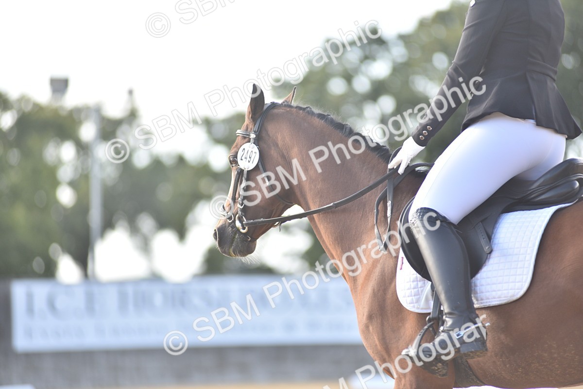 SBM_53254 - D24 - Junior Championship Prelim 3