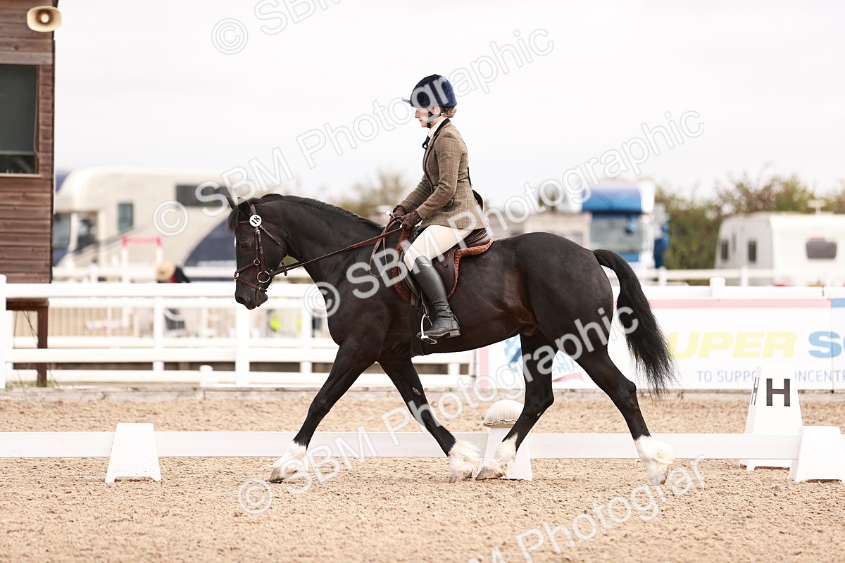 SBM_01821 - Class 34 - Prelim 3