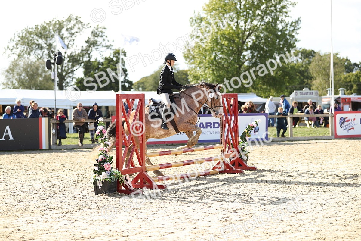 SBM_49586 - J22 - Junior Horse 65cm Championship