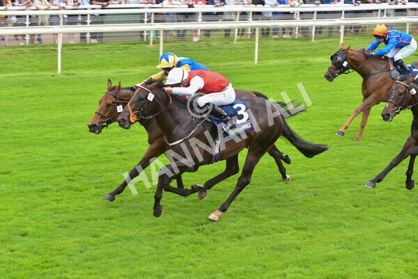 yr24092021r2-29 - Race 2 2.05pm William Hill Extra Places Races Stakes