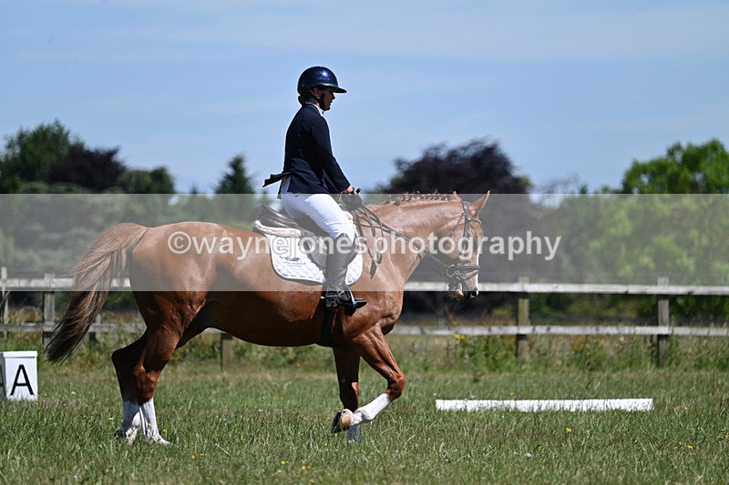 WJ7_0676 - Time 11:00am to 11:27am
