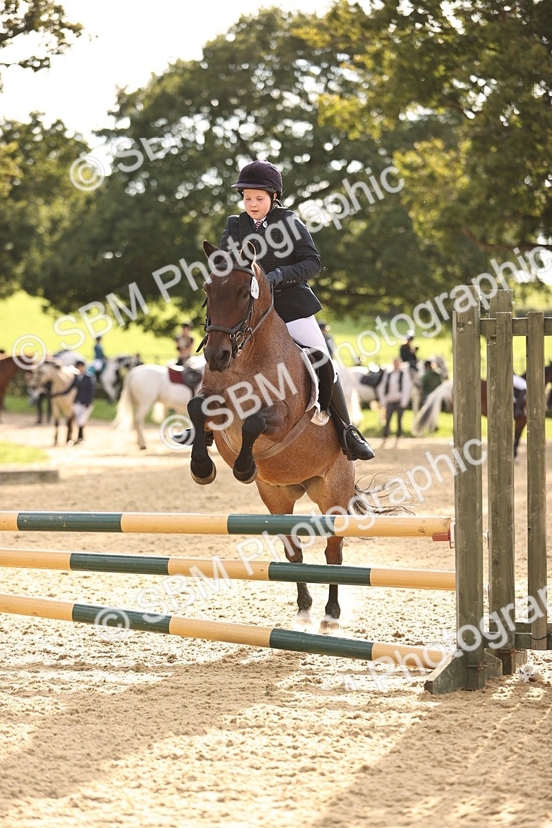 SBM_52850 - J10 - Junior Pony 75cm Championship