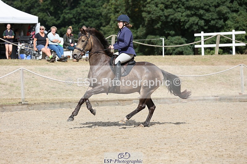 250829A-105519-01245 - Cls 7 British Novice and 90cm