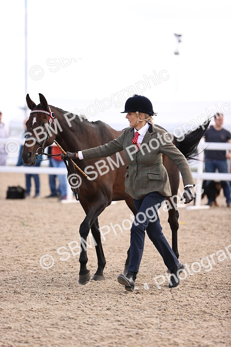SBM_11547 - Class 407 - IH Hack-Riding Horse