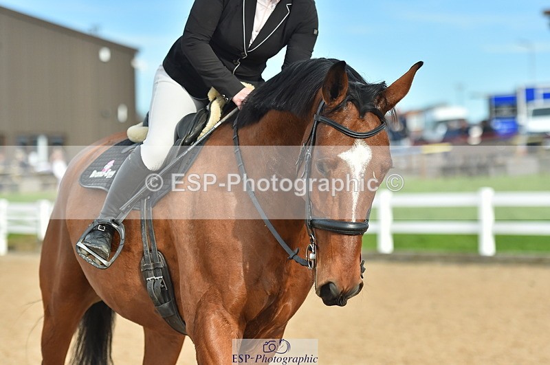 231111A-125424-01983 - Cls 12 Newcomers & 1.10m Open