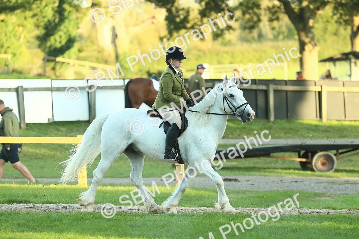 SBM_55611 - S14 - Riding Club Horse