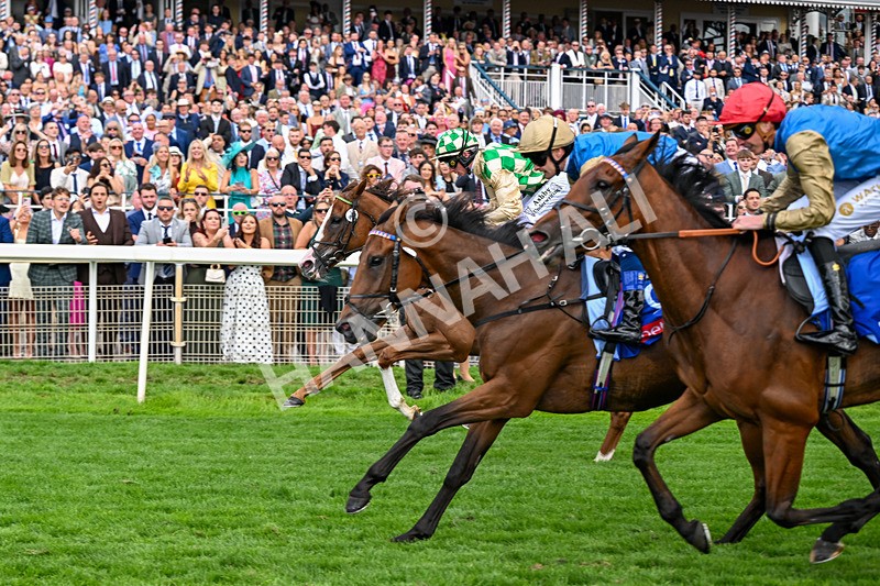 220826-Race 4-Daiquiri Bay-0458 - Race 4 15.35pm Sky Bet Ebor Handicap