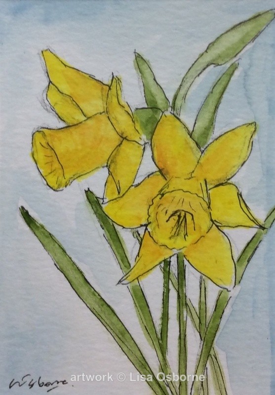Daffodils - Flowers