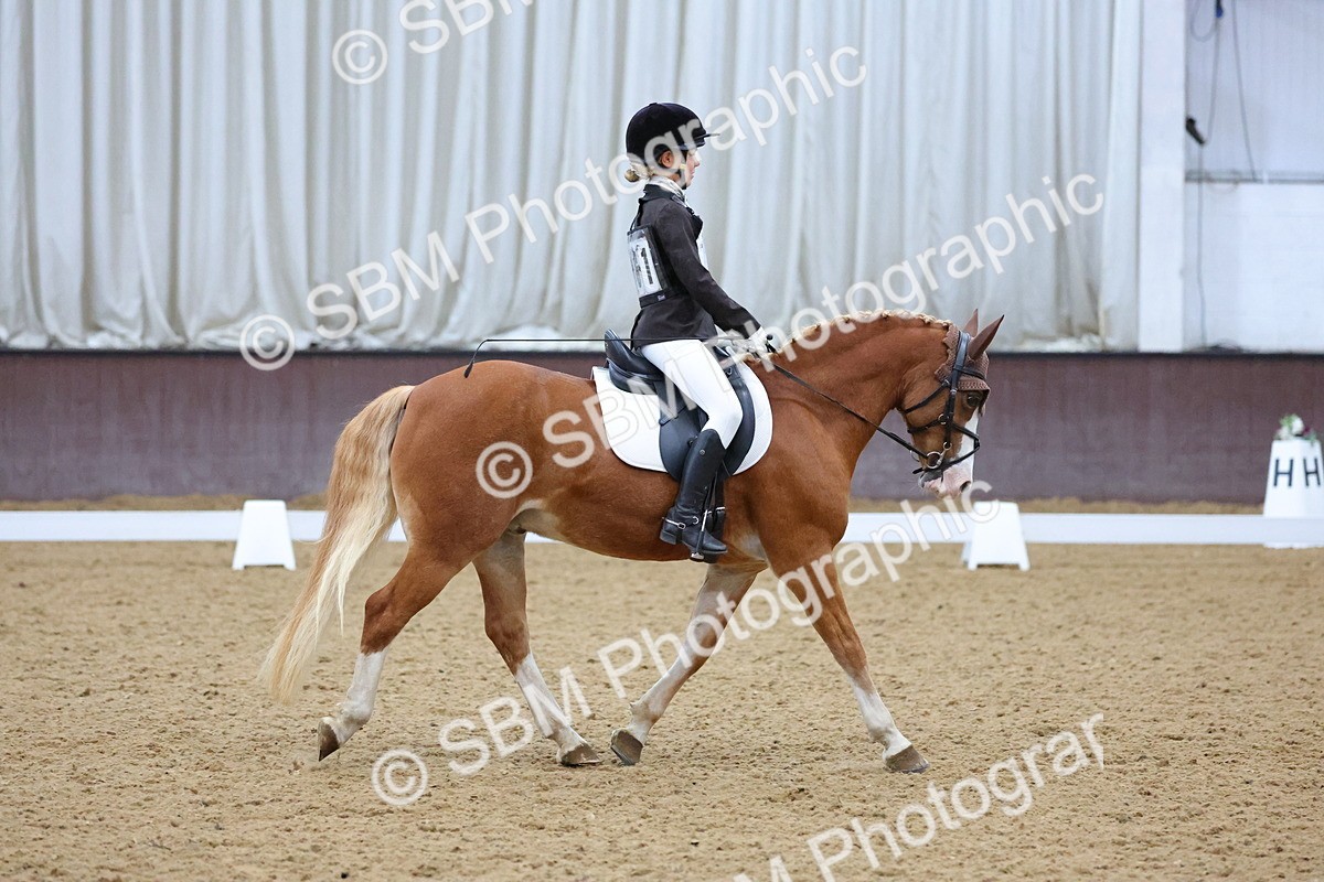 SBM_004191 - Intermediate
