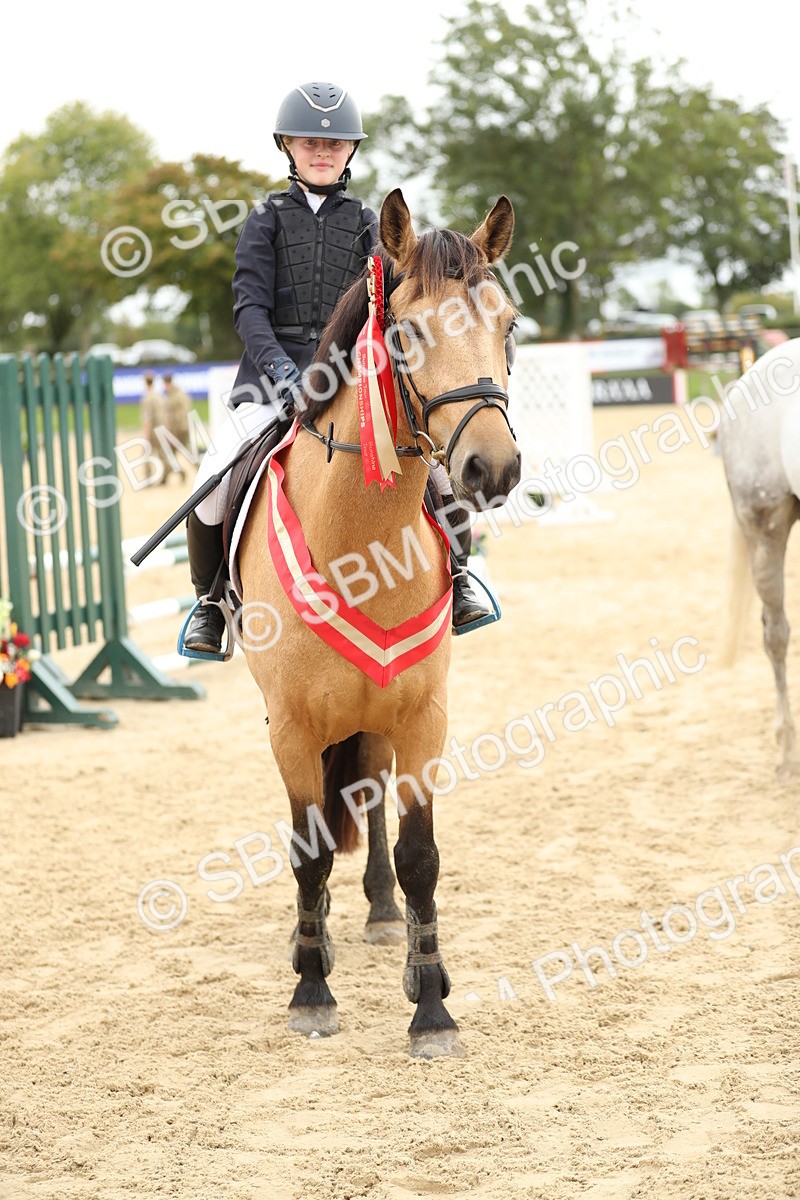 SBM_63166 - Supreme championship 75cm 80cm