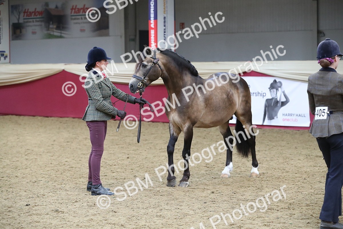 SBM_17198 - M&M Supreme Final Champ