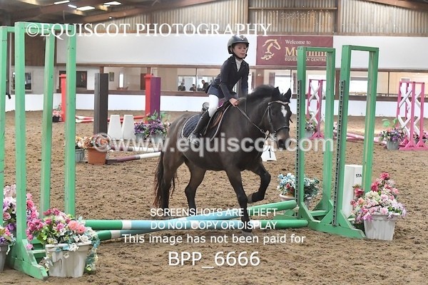 BPP_6666 - CLASS 1 20CM