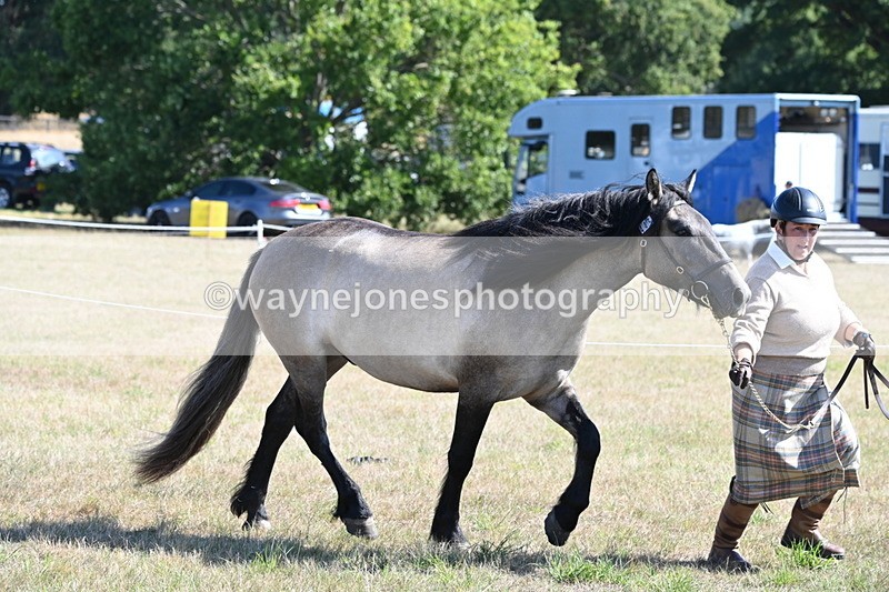 WJ6_4486 - Class 17 Mountain & Moorland
