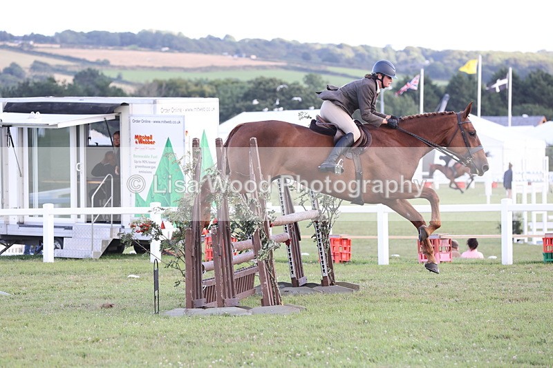 JPP_3681 - Class 24: Open Working Hunter